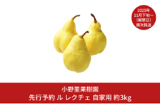 先行予約 ル レクチェ 自家用 約3kg(6～9個)  ル・レクチェ  新潟県産 洋梨 [小野里果樹園] 【013S079】