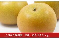 あきづき ３㎏ [2025年発送分] 令和７年産 和梨 新潟 三条 燕三条 果物 贈答用  [こひなた果樹園] 【011S325】