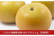 【自家用】あきづき ５㎏ [2025年発送分] 令和７年産 和梨 新潟 三条 燕三条 果物  [こひなた果樹園] 【010S801】