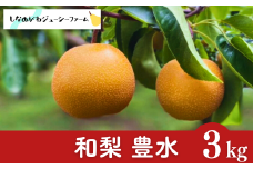 和梨 豊水 約3kg 新潟県 三条市産 梨 [しなのがわジューシーファーム]【010S479】