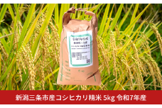 先行予約 新潟三条市産コシヒカリ精米 5kg 令和7年産 新潟県産コシヒカリ【017S151】