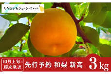 先行予約 和梨 新高 約3kg [10月上旬から発送予定] 新潟県 三条市産 梨 [しなのがわジューシーファーム]【010S489】