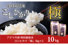 特別栽培米 コシヒカリ 「極」 10kg (5kg×2袋) 令和7年産 こしひかり 新潟県認証 精米 白米【024S027】