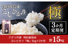 [定期便5kg×3か月] 特別栽培米 コシヒカリ 「極」 5kg×3か月 計15kg 令和7年産 こしひかり 新潟県認証 精米 白米【035S009】