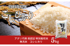 県認証 特別栽培米 コシヒカリ5kg 無洗米 新潟県認証 令和7年産 新潟県三条市産 こしひかり 【011S193】