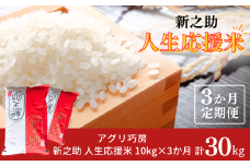 [定期便10kg×3か月] 新之助人生応援米10kg（5kg×2袋）×3か月 計30kg 令和7年産 新之助 白米 【070S009】