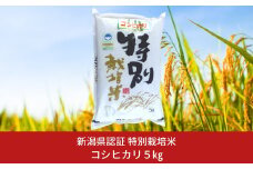 特別栽培米 コシヒカリ5kg 新潟県認証 令和7年産 新潟県三条市産 こしひかり アグリ巧房 15000円以下 2万円以下 【010S275】