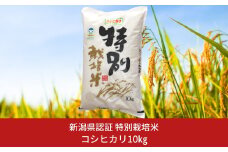 特別栽培米 コシヒカリ10kg 新潟県認証 令和7年産 新潟県三条市産 こしひかり 【018S025】