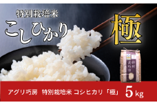 特別栽培米 コシヒカリ 「極」 5kg 令和7年産 こしひかり 新潟県認証 精米 白米【012S076】