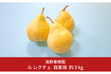 先行予約 ル レクチェ 自家用 2kg 三条市農業マイスターが育てた 新潟県産 ル レクチエ 洋梨 ル・レクチェ 【010S183】