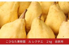 【先行予約】ルレクチエ ２㎏ 自家用 [2025年発送分] 令和７年産 洋梨 新潟 三条 燕三条 果物  [こひなた果樹園] 【010S802】