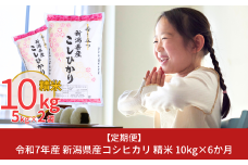 新米 先行予約 [定期便10kg×6か月] 令和7年産 新潟県産コシヒカリ 計60kg こしひかり 6か月連続でお届け [株式会社白熊]【076S001】
