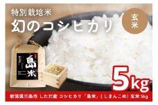 新米 新潟県特別栽培米 コシヒカリ5kg 玄米「島米(しまんこめ)」三条市 下田 令和7年産 コシヒカリ  [農事組合法人島川原]【015S197】