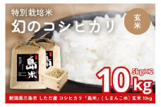新米 新潟県特別栽培米 コシヒカリ10kg 玄米「島米(しまんこめ)」三条市 下田 令和7年産 コシヒカリ  [農事組合法人島川原]【030S101】