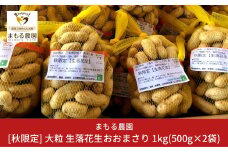 先行予約 [期間限定受付]  生落花生「おおまさり」 1kg(500g×2袋) 大粒 落花生 新潟県産 三条市下田産 らっかせい [まもる農園] 【010S204】