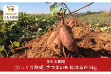 先行予約 さつまいも 紅はるか 5kg 収穫後熟成 [2025年2月上旬～順次発送予定] 三条市下田産ブランド「越紅(こしのくれない)」  [まもる農園] 【010S205】