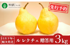 先行予約 ル レクチェ 約3kg [11月下旬から発送予定] 洋梨 JGAP認証農場 新潟県 三条市産  ル レクチエ 期間限定 冬限定  幻の西洋梨 フルーツ 秋 旬 洋梨 ル・レクチェ  [三条果樹専門家集団]【016P026】