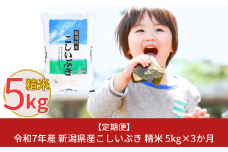 新米 [定期便5kg×3ヶ月] 令和7年産 新潟県産こしいぶき 計15kg 3か月連続でお届け [株式会社白熊]【016S008】