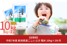新米 [定期便10kg×3ヶ月] 新潟県産こしいぶき 計30kg 令和7年産 3か月連続でお届け [株式会社白熊]【031S004】