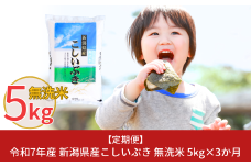 新米 先行予約 [定期便5kg×3ヶ月] 令和7年産 無洗米 新潟県産こしいぶき  計15kg 3か月（3ヵ月）連続でお届け [株式会社白熊]【017S007】