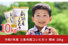 新米 先行予約 新潟県 三条市産 コシヒカリ 10kg こしひかり 令和7年産 米 [株式会社白熊]【013S009】