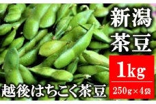 大粒・風味豊かな枝豆！柏崎の早生茶豆「越後はちこく茶豆」 1kg（250g×4袋）【期間・数量限定】[ZA025]