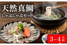 ぷりぷり食感！天然真鯛しゃぶしゃぶセット 3～4人前 カット済 鯛アラ・ポン酢付き[ZB293]