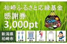 柏崎ふるさと応縁基金感謝券（3,000pt）[ZB302]