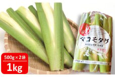 【先行予約・数量限定】ヤタらうんめぇ マコモタケ 1kg | マコモダケ 希少野菜 柏崎地場特産品 水田環境鑑定士在籍[ZA043]
