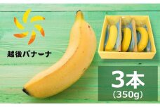 【雪国新潟産バナナ】3本（350g）濃厚な甘さともっちり食感！安心安全の越後バナーナ[ZB325]