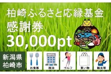 柏崎ふるさと応縁基金感謝券（30,000pt）[ZE923]
