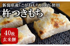 玄米餅 切り餅 430g入×5パック（計 40切）こがねもち100％使用 角餅[Y0444]