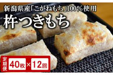 【12ヶ月定期便】玄米餅 切り餅 430g×5パック（計 40切）×12回 杵つきもち[Y0445]