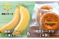 【雪国新潟産バナナ】越後バナーナ 2本（230g）＆焼きドーナツ 4個 セット[ZB398]