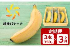 【定期便・雪国新潟産バナナ】3本（350g）×3回 濃厚な甘さともっちり食感！安心安全の越後バナーナ[ZG430]