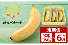 【定期便・雪国新潟産バナナ】3本（350g）×6回 濃厚な甘さともっちり食感！安心安全の越後バナーナ[ZK911]