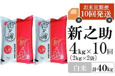 【先行予約・令和7年産新米・10ヶ月定期便】新之助 白米 4kg（2kg×2袋）×10回（計 40kg）ヤタらうんめぇ しんのすけ 水田環境鑑定士在籍[Y0339]