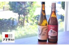 新潟産最上級コシヒカリ「米山プリンセス」600g＆原酒造 銀の翼 特別本醸造 720ml[ZB481]
