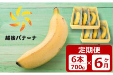 【定期便・雪国新潟産バナナ】6本（700g）×6回 濃厚な甘さともっちり食感！安心安全の越後バナーナ[ZS005]