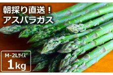 やたらうんめぇ アスパラガス 1kg M～2Lサイズ混合 水田環境鑑定士在籍【数量・期間限定】[Y0014]