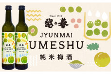 本格日本酒仕込み 純米梅酒 500ml×2本 越の誉[Y0022]