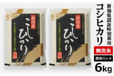 【先行予約・令和7年産新米】真空パック 特別栽培米 コシヒカリ 無洗米 6kg（3kg×2袋） 山波農場のお米 新潟県産 [Y0061]