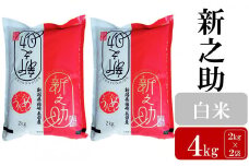 【先行予約・令和7年産新米】新之助 白米 4kg（2kg×2袋）ヤタらうんめぇ お米 新潟県産 小分け しんのすけ 水田環境鑑定士在籍[Y0174]