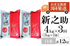 【先行予約・令和7年産新米・3ヶ月定期便】新之助 白米 4kg（2kg×2袋）×3回（計 12kg）ヤタらうんめぇお米 水田環境鑑定士在籍 しんのすけ[Y0178]