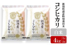 【先行予約・令和7年産新米】コシヒカリ 白米 4kg（2kg×2袋） ヤタらうんめぇ お米 新潟県産 小分け 水田環境鑑定士在籍[Y0198]