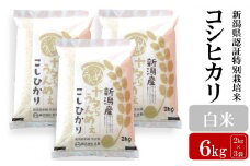 【先行予約・令和7年産新米】コシヒカリ 白米 6kg（2kg×3袋）ヤタらうんめぇ お米 新潟県産 小分け 水田環境鑑定士在籍[Y0200]