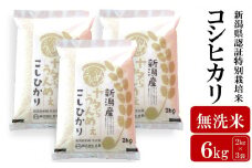 【先行予約・令和7年産新米】コシヒカリ 無洗米 6kg（2kg×3袋）ヤタらうんめぇ お米 新潟県産 小分け 水田環境鑑定士在籍[Y0201]