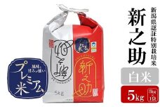 【令和6年産米】甘味の強いプレミアム米 新潟県認証特別栽培米 新之助 白米 5kg アグリーホンマ[Y0358]