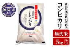 【令和6年産米】コシヒカリ 無洗米 5kg 新潟県認証特別栽培米 お米 新潟県産 アグリーホンマ[Y0363]