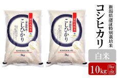 【令和6年産米】コシヒカリ 白米 10kg（5kg×2袋） 新潟県認証特別栽培米 お米 新潟県産 アグリーホンマ[Y0364]
